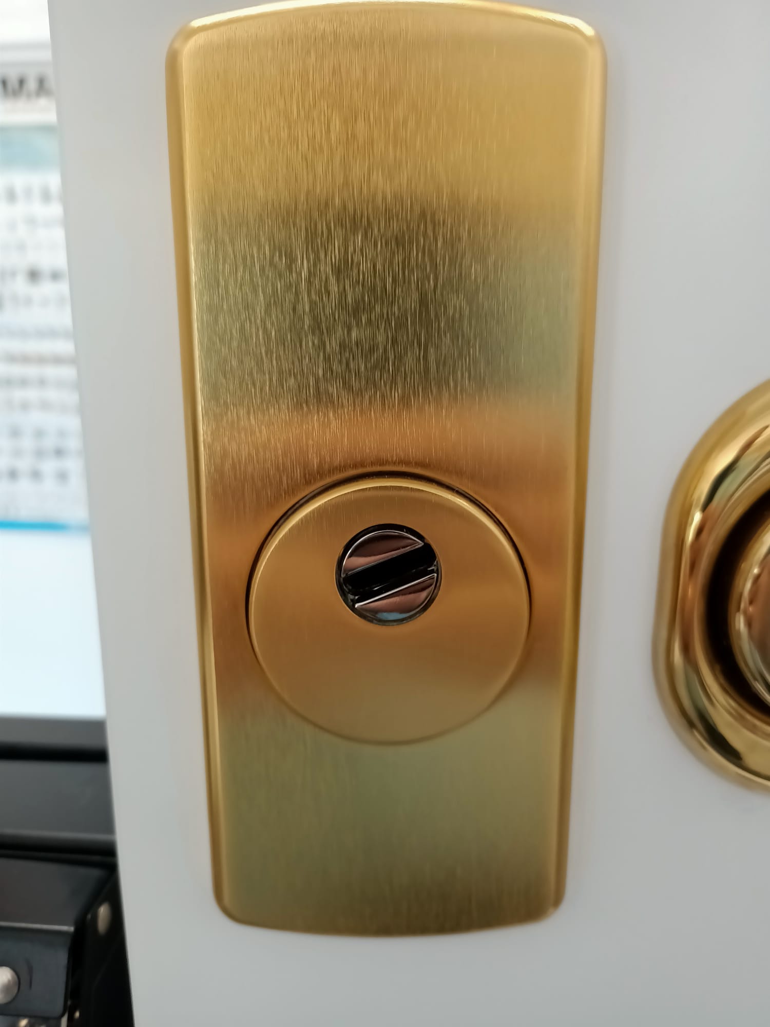 Escudo antiroturas y mirilla digital — Cerrajero Alicante